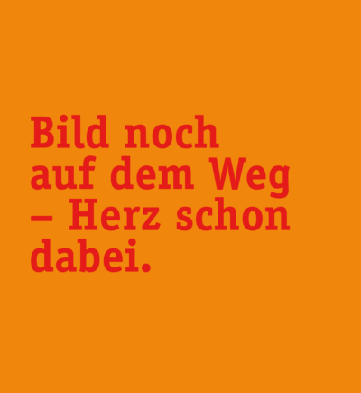 Portrait Cindy Kronenberg